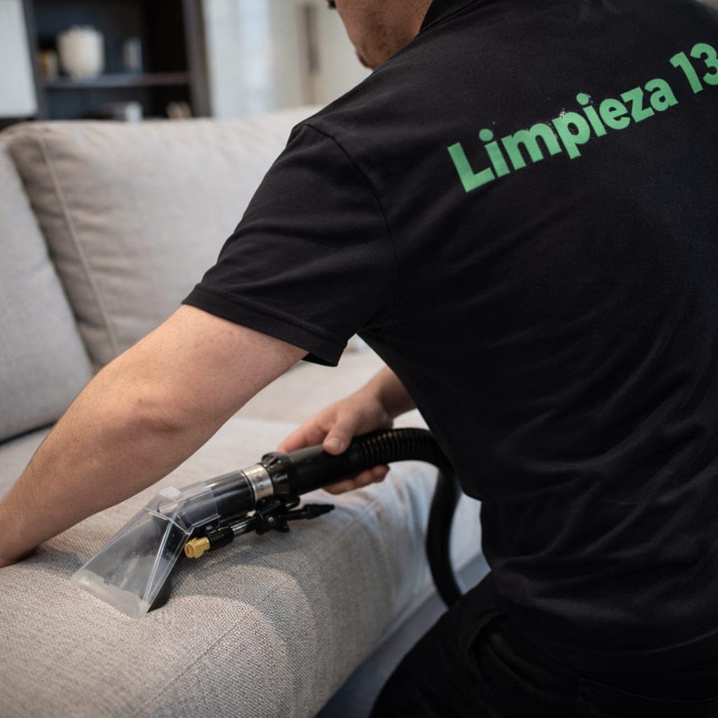 Limpieza en seco